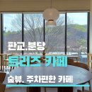 삼성모터스 판교점 | [판교 분당] 카페 트리즈 TREEZ / 숲뷰 주차 편한 카페 , 애견동반 가능