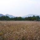 노메드 이미지