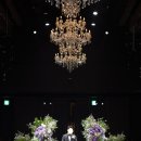 손수그라피 웨딩 본식 스냅 계약 후기 💍📷 (짝궁 할인 구합니다)