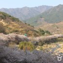 안경마을콘텍트 이미지