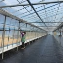 수막 목장 이미지