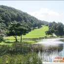 도그센추리 이미지