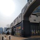 타코야끼인문어 이미지