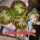 핑크버클리타이다이와 알 이미지