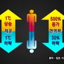 올리고365 이미지