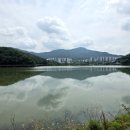 티파니 | 의왕 백운호수 근처 카페 네이처티파니 후기, 아쿠아리움 카페