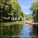 대바우가든 | 울산 근교 계곡 [대바우가든] 평상대여 내돈내산 후기