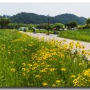 울산과 경주 봄꽃 이미지