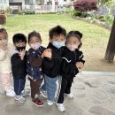 🪢트리아이로프체험-해적다리, 버마다리, 터널다리 이미지