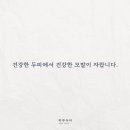 하루두피 대전유성점 이미지