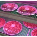 참숯 한우천국 운정점 이미지