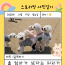 스토리 멍 이미지