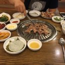 초원갈매기 이미지