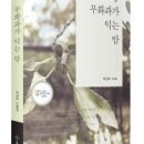 1. 나비, 다시 읽다/허정진 이미지