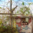 평화누리길 이미지