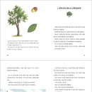 숲속이야기 이미지