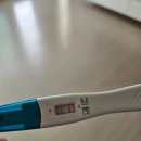 울산광역시중구보건소 | 임신극초기 5주,6주 증상 울산중구보건소 임산부등록후기