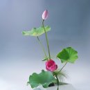 동양1 | 이케바나 디스플레이 작업과 원데이 그룹레슨 후기(1)🫧 동양꽃꽂이 일본꽃꽂이 침봉꽃꽂이 이케바나...
