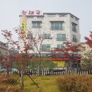 장뜰순대 - 증평군 윗장뜰길 27-1 | 장뜰순대