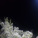 지명공인중개사사무소 이미지