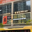 엘이오 이미지