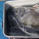 복사초등학교2 이미지