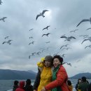 멋진하루 이미지