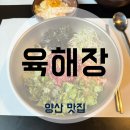 새싹, 화합 | 육회비빔밥 한입에 감탄! 양산범어맛집 [육해장] 솔직후기