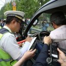 서울대포차