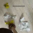 (주) 삿포로 참치 이미지