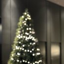 신라모텔 | 고척돔 콘서트 가신다면 추천합니다 신라스테이 구로