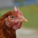 의정요양원 네이버블로그