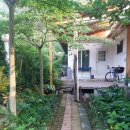 버들치민박 이미지