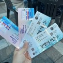소향장터 | 2025명량대첩축제 1일차 다녀온 후기