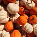 모현동물병원 이미지