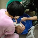 준우목장 이미지