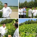 평남목장 연합뉴스