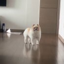 나성노동조합 | 24-SV