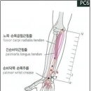 6.5 가슴통증 이미지