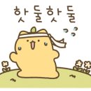 SOK 속편한내과의원 이미지