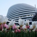 법무법인율재 - 남양주시 다산중앙로82번안길 160 | 법무법인율재