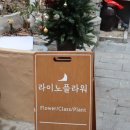 라이노플라워