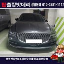 (주)제네시스메디컬시스템 | 광주 동구 학동 제네시스 G80 배터리 무료 출장 교체, 봄철 배터리 방전 주의! G80 AGM 배터리 교체