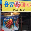 용궁속 대게 네이버블로그