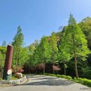 충주호체험 이미지