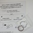 포루시스 네이버블로그