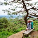 백제문화단지-부소산성-궁남지-정림사지-백제문화단지 이미지
