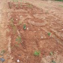 아름다운농장 이미지