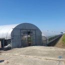 이강인농장 이미지