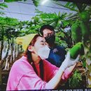 수지면 갈촌마을 이미지